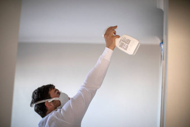 Best DIY Mold Remediation Support Services in Mitchell, IN