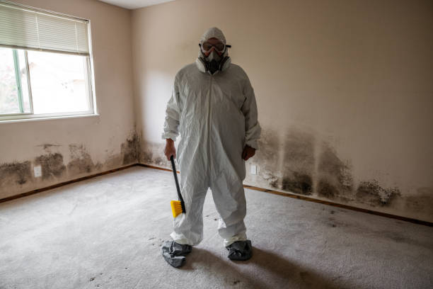 Best HVAC Mold Remediation in Mitchell, IN